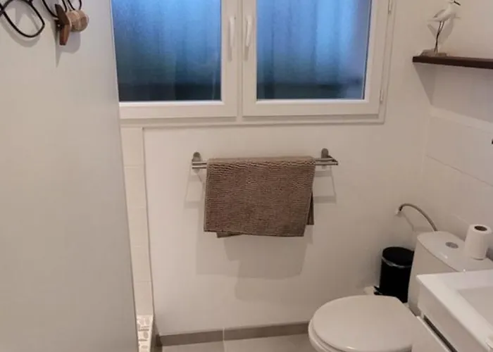 Au Bord Du Tarn Avec Ponton Et *